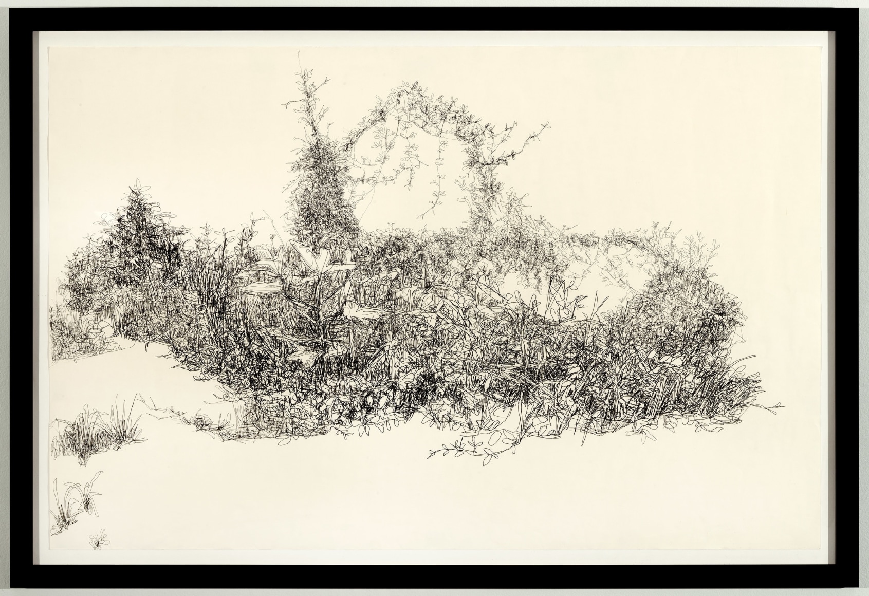 HANNAH CHALEW, Mandeville Takeover, 2012