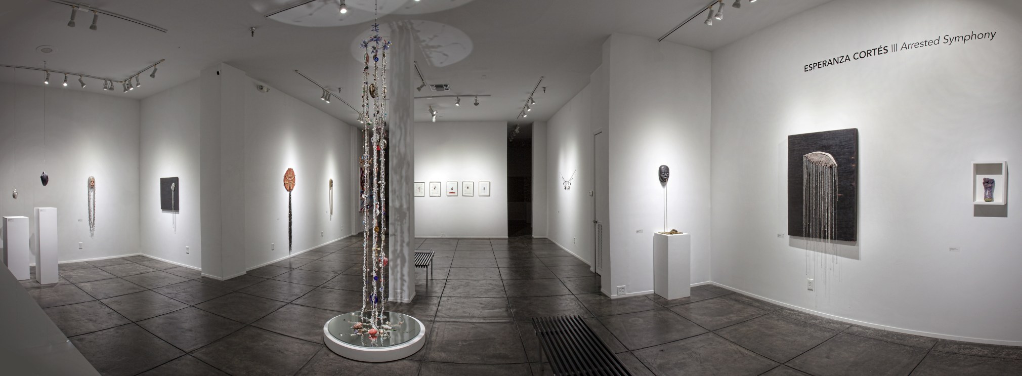 ESPERANZA CORT&Eacute;S&nbsp;, Arrested Symphony