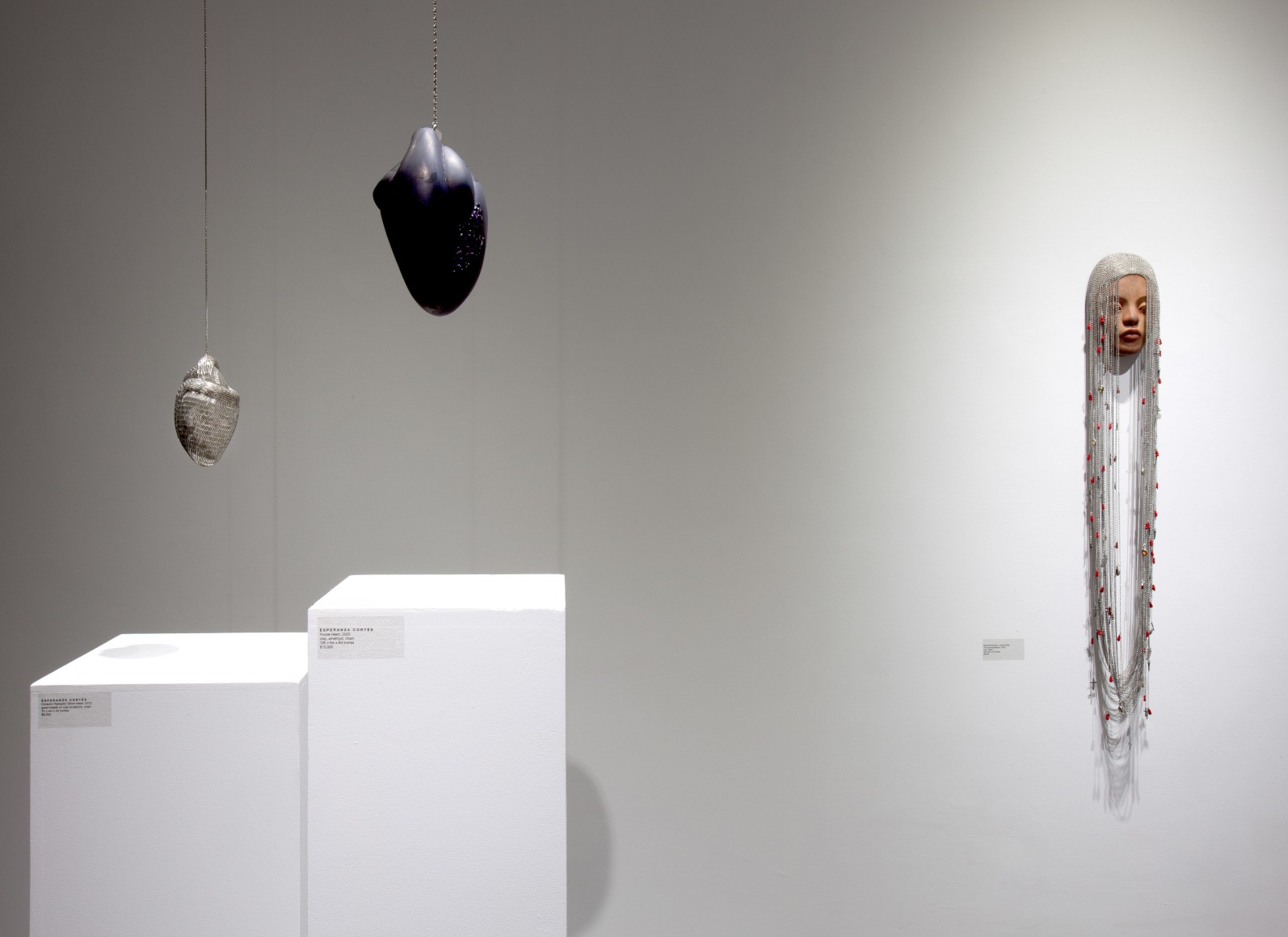 ESPERANZA CORT&Eacute;S&nbsp;, Arrested Symphony