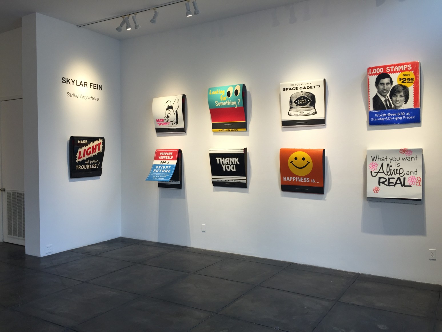 SKYLAR FEIN&nbsp;|||&nbsp;Strike Anywhere, [Main Gallery Installation View]