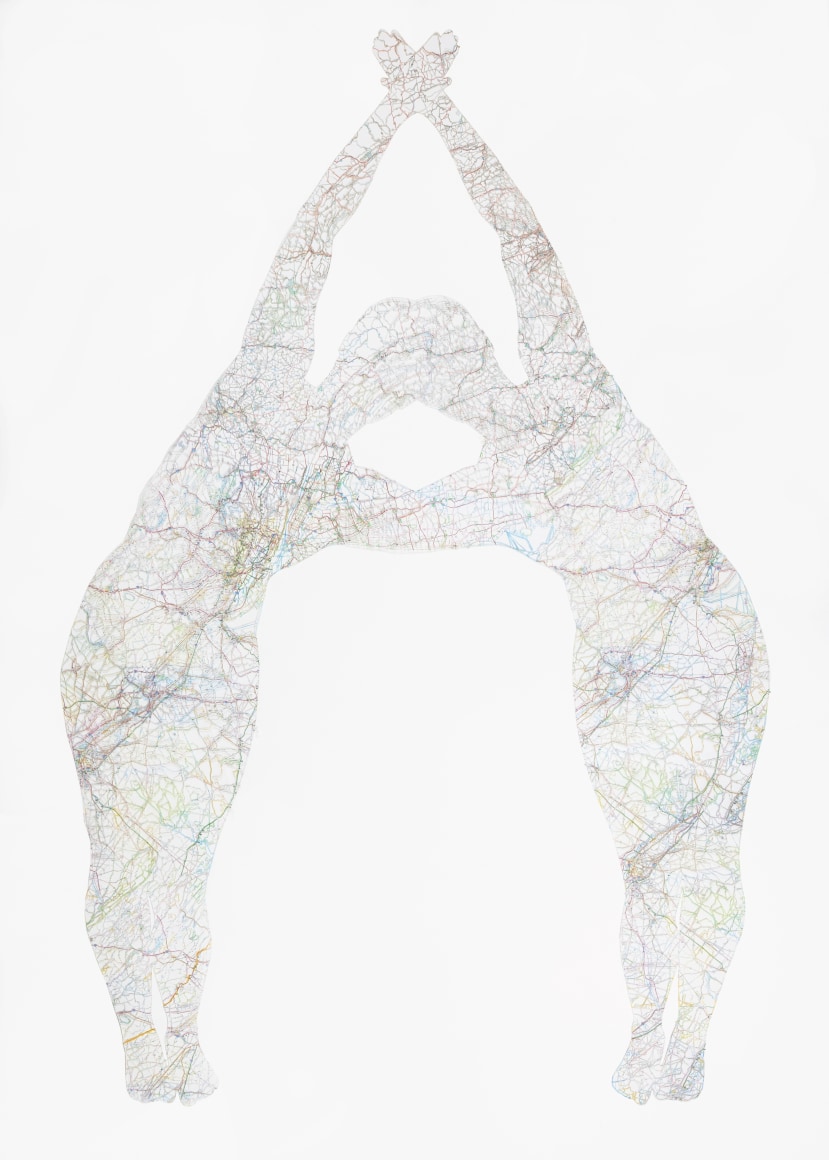 NIKKI ROSATO Untitled (Merged), 2015