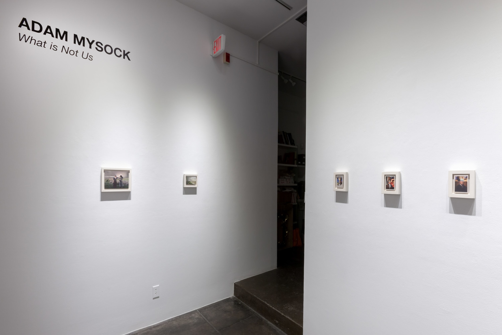 ADAM MYSOCK What is Not Us