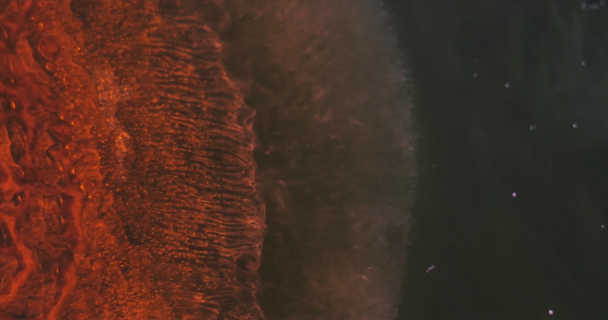 Ben Long and Jack Schoonover, Cosmosis&nbsp;[still], 2016