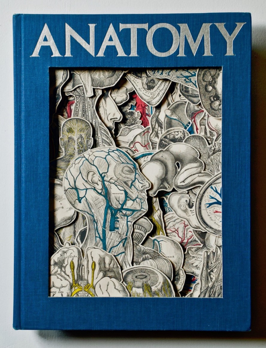 TONY DAGRADI, Anatomy, 2021