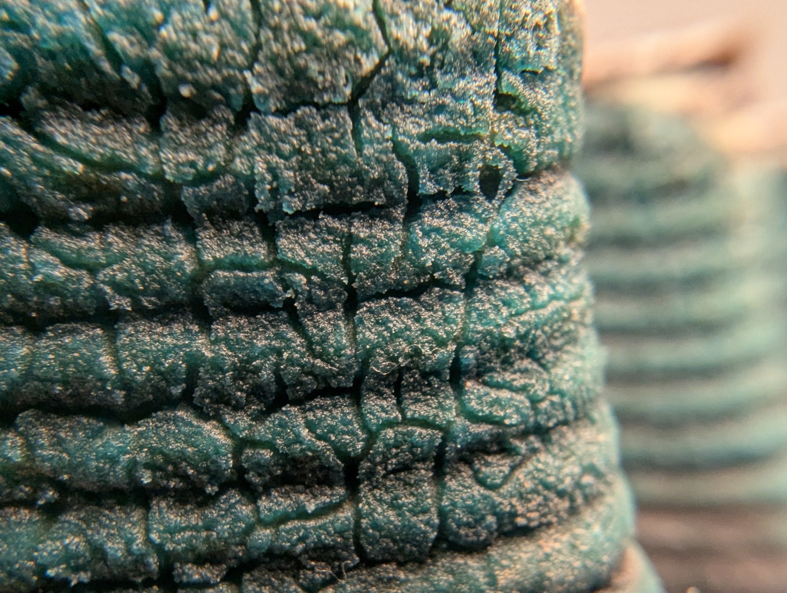 NICHOLAS LICAUSI, connector CNR, 2024