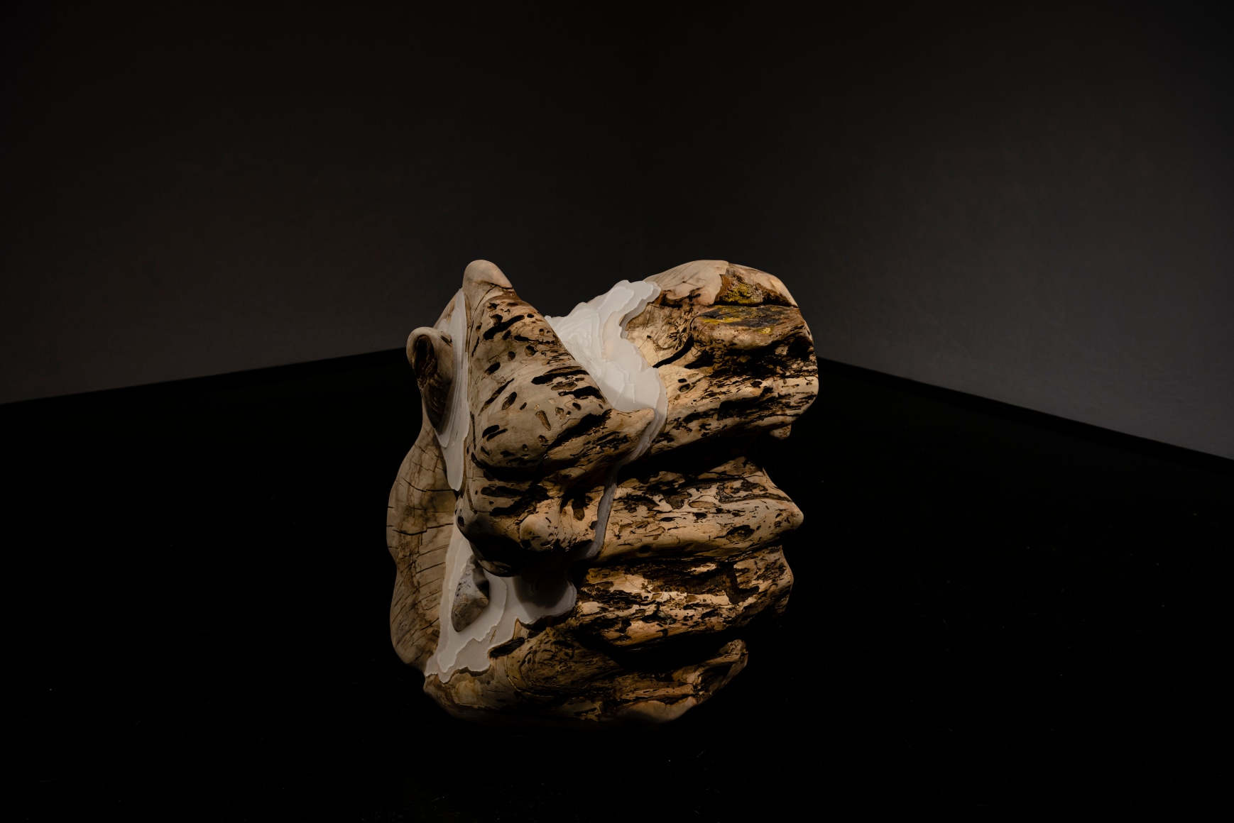 ANDY HARDING, Arrokoth, 2021