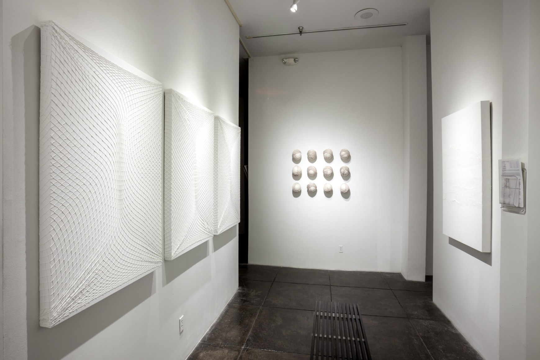 SIDONIE VILLERE III Preserve, [Middle Gallery Installation View]