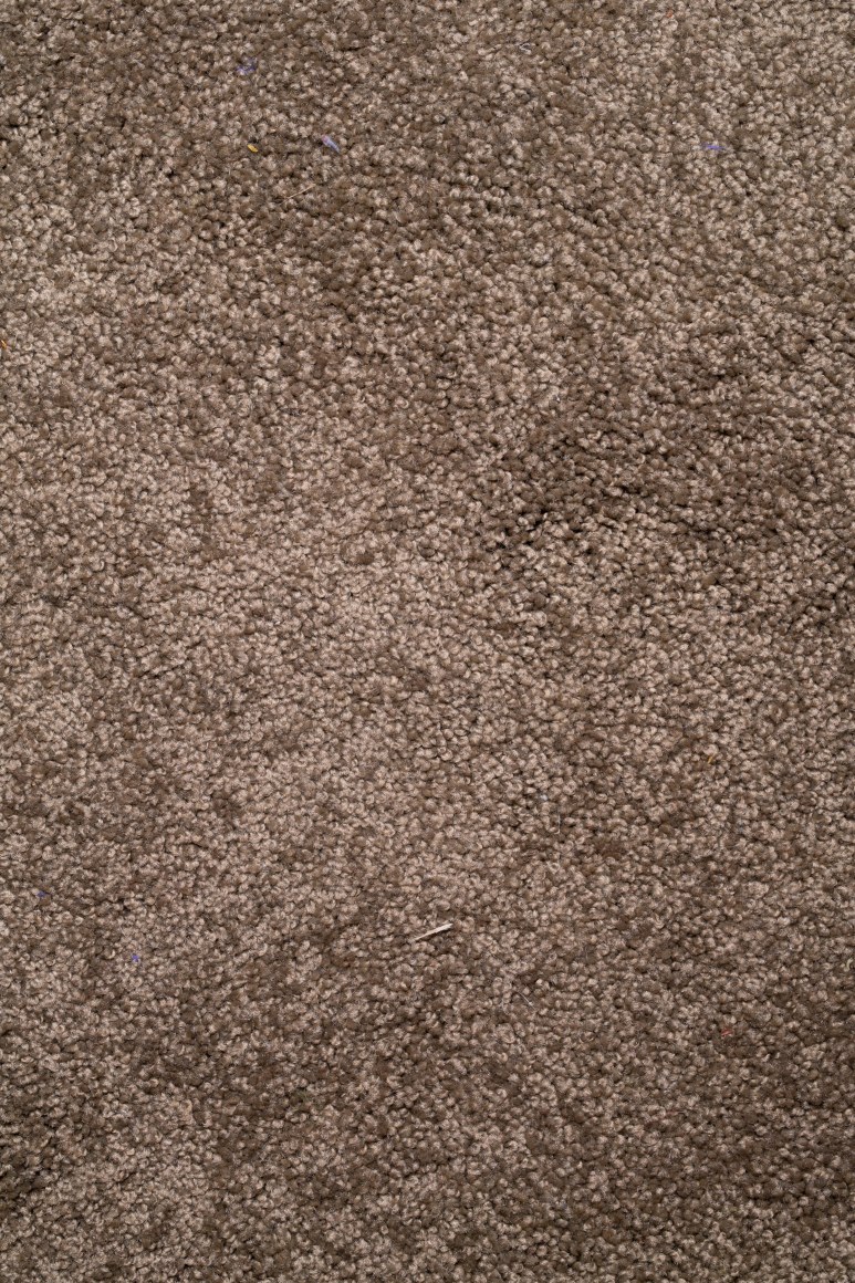 ARTEMIS ANTIPPAS, Sample (10), 2021