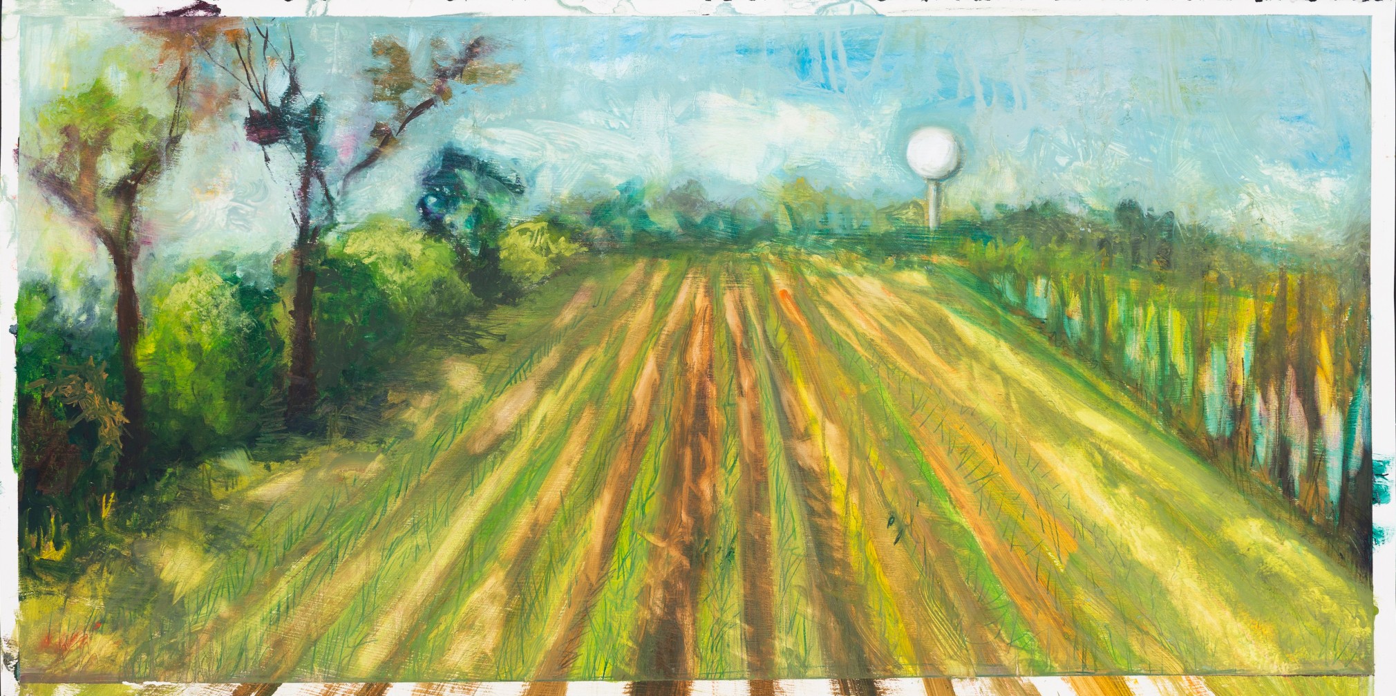 GINA PHILLIPS Thibodaux Sugarcane Field (October 29, 2017), 2017