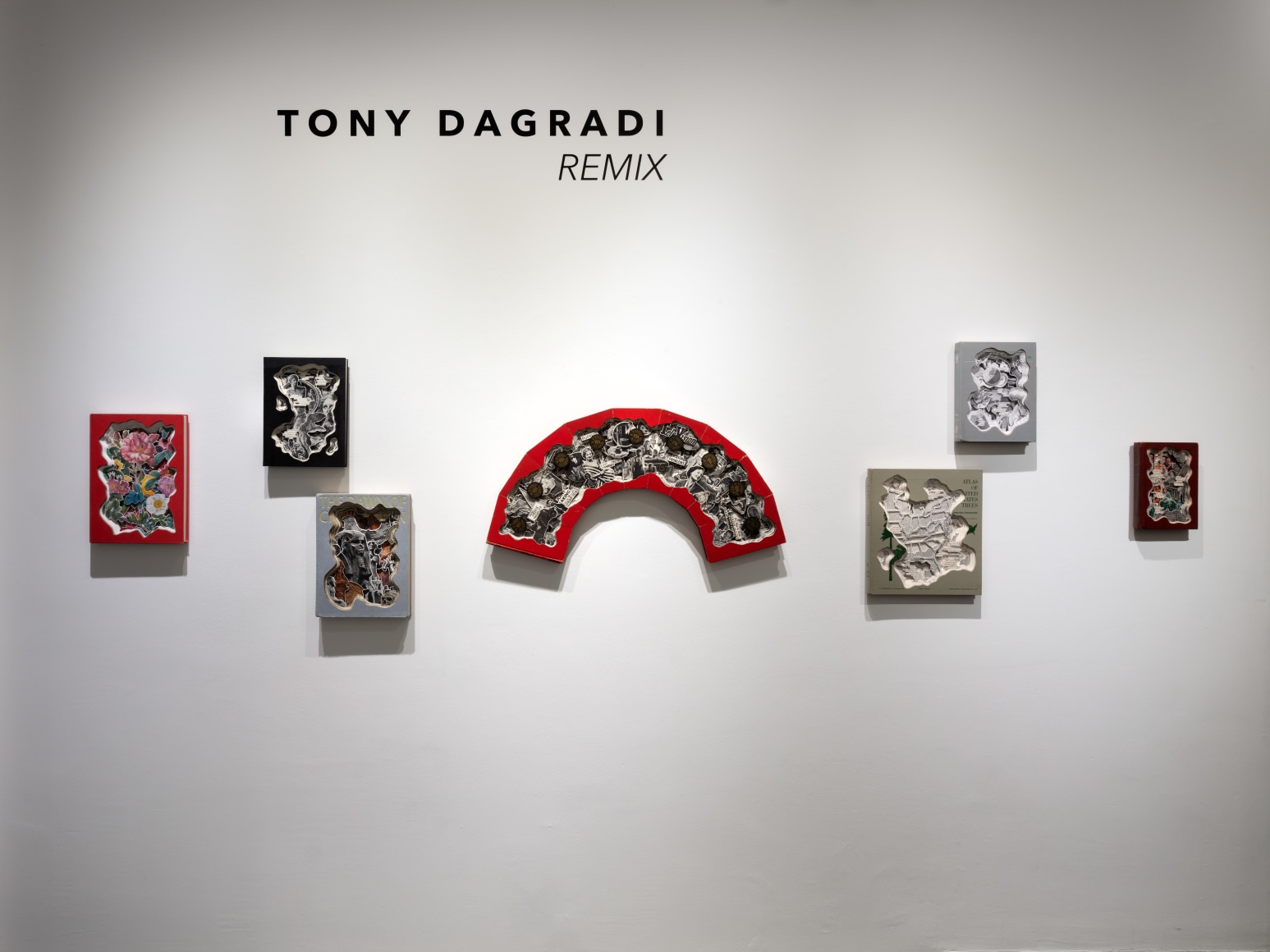 Tony Dagradi, Remix&nbsp;