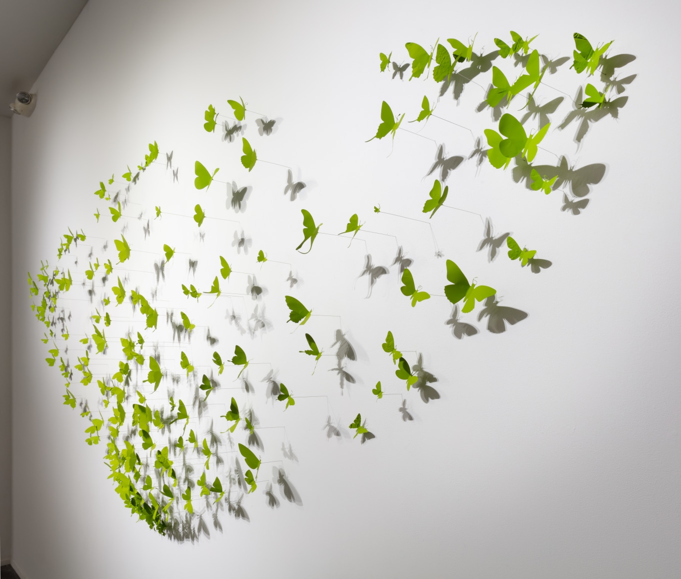 PAUL VILLINSKI, Arcus, 2012