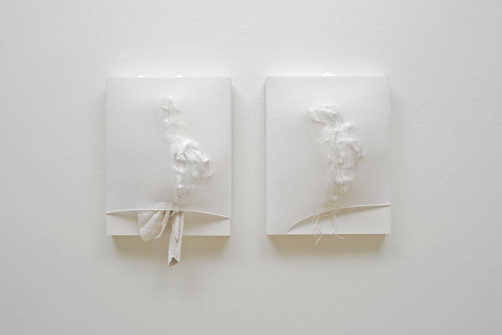 SIDONIE VILLERE January&nbsp;[diptych], 2015