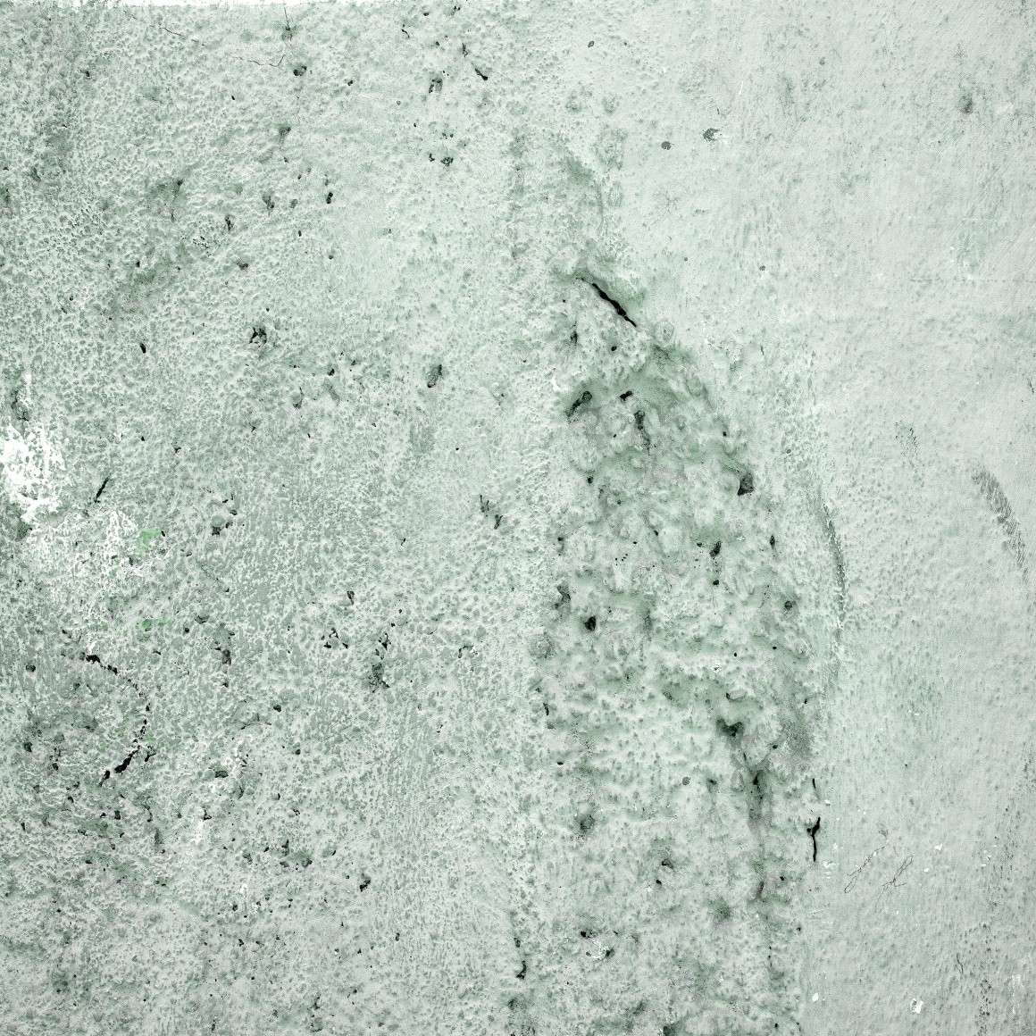 JENNIFER RICO, Havana Pantone, Verde Cálido Malecón, 2018