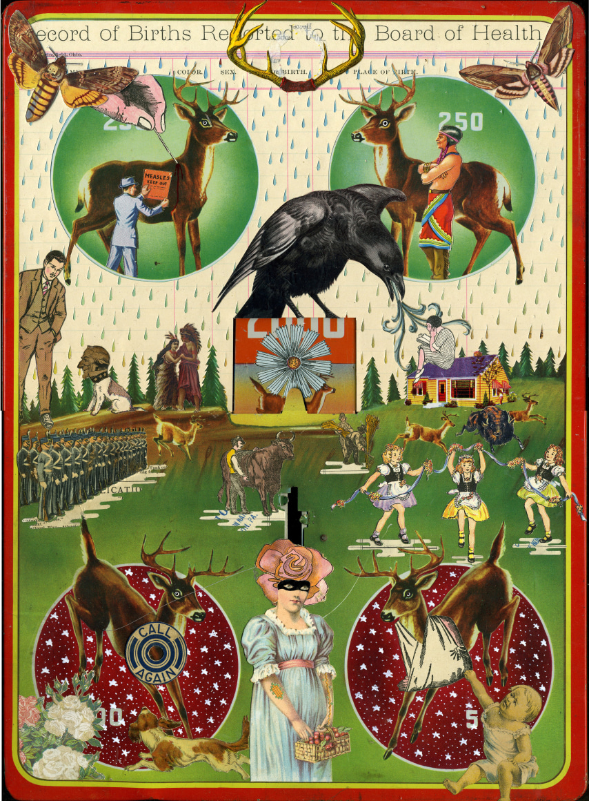 MICHAEL PAJON, Breaking Cover for the Meadow, 2013