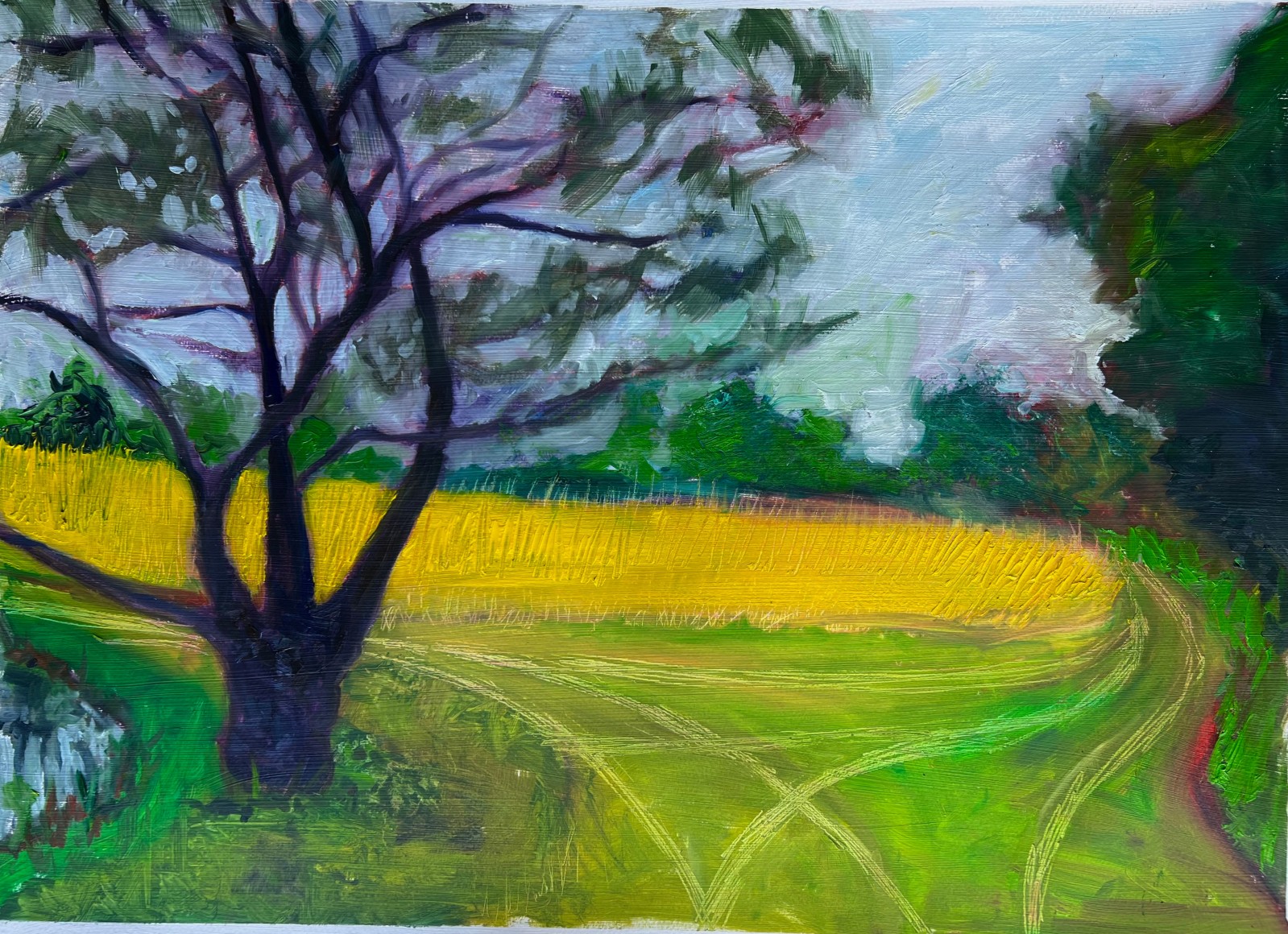 GINA PHILLIPS, Twisted Pine, 2024