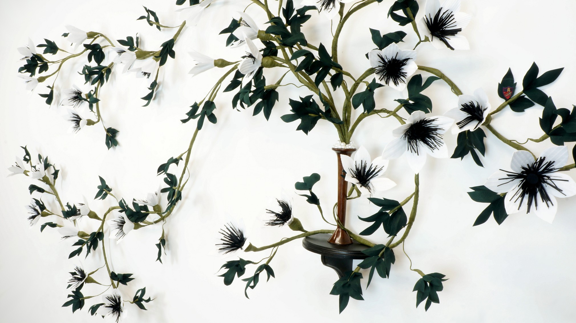 CARLTON SCOTT STURGILL, Tuxedo Clematis (Clematis tuxedis)&nbsp;[detail], 2018