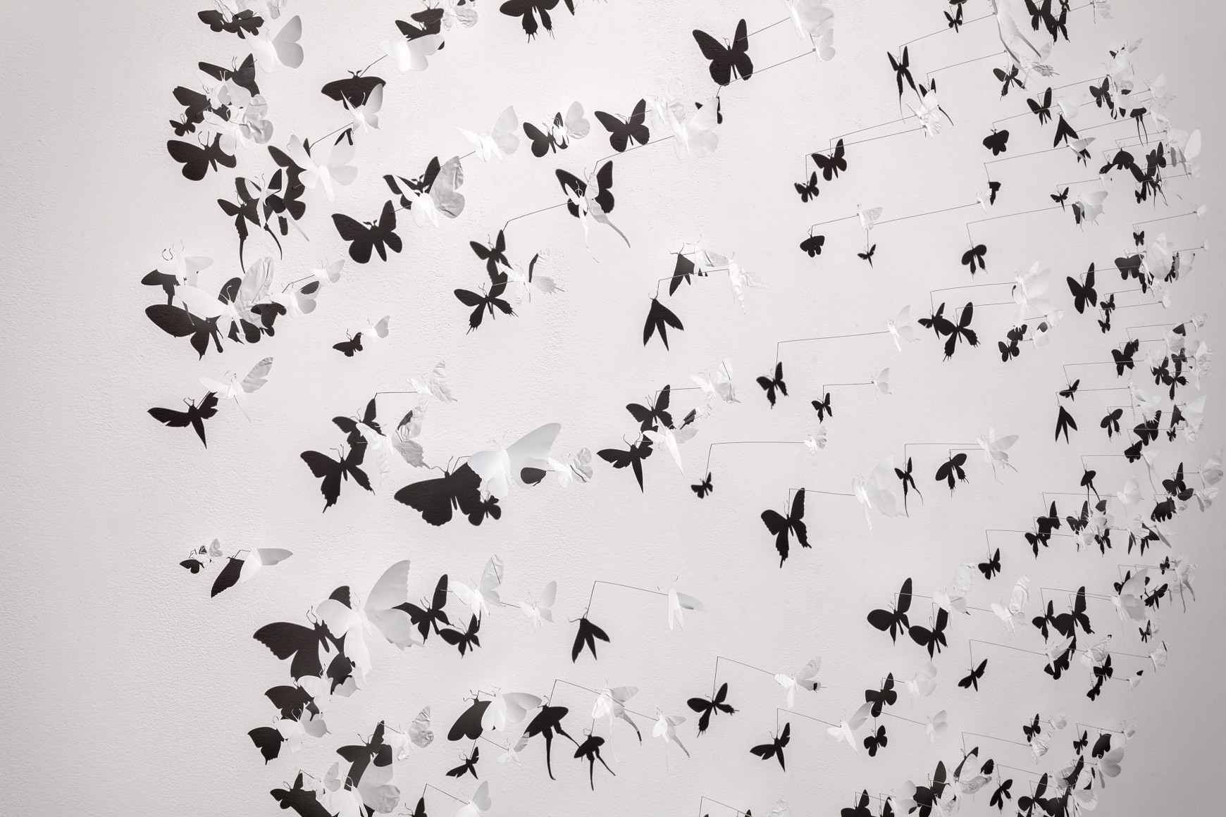 PAUL VILLINSKI Ghost&nbsp;[detail], 2014