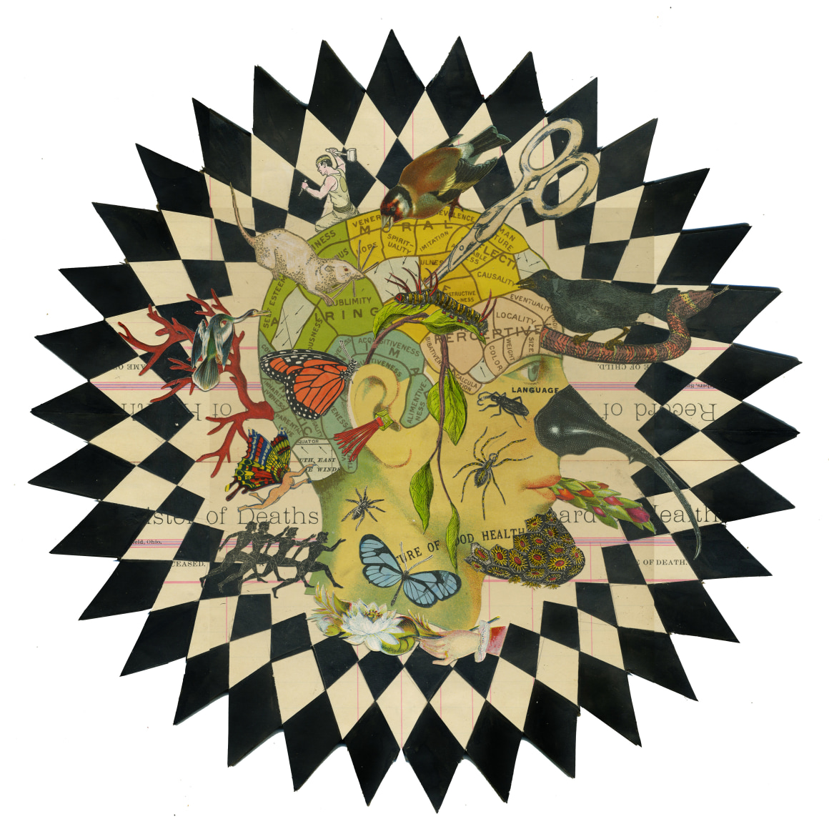 MICHAEL PAJON What Creatures of Mirth are We,&nbsp;2014