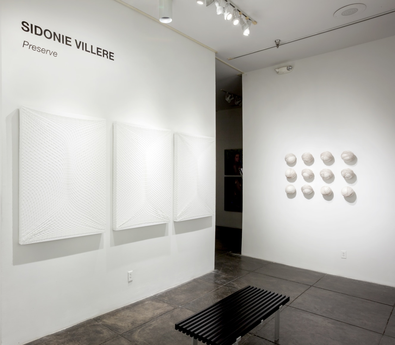 SIDONIE VILLERE III Preserve, [Middle Gallery Installation View]