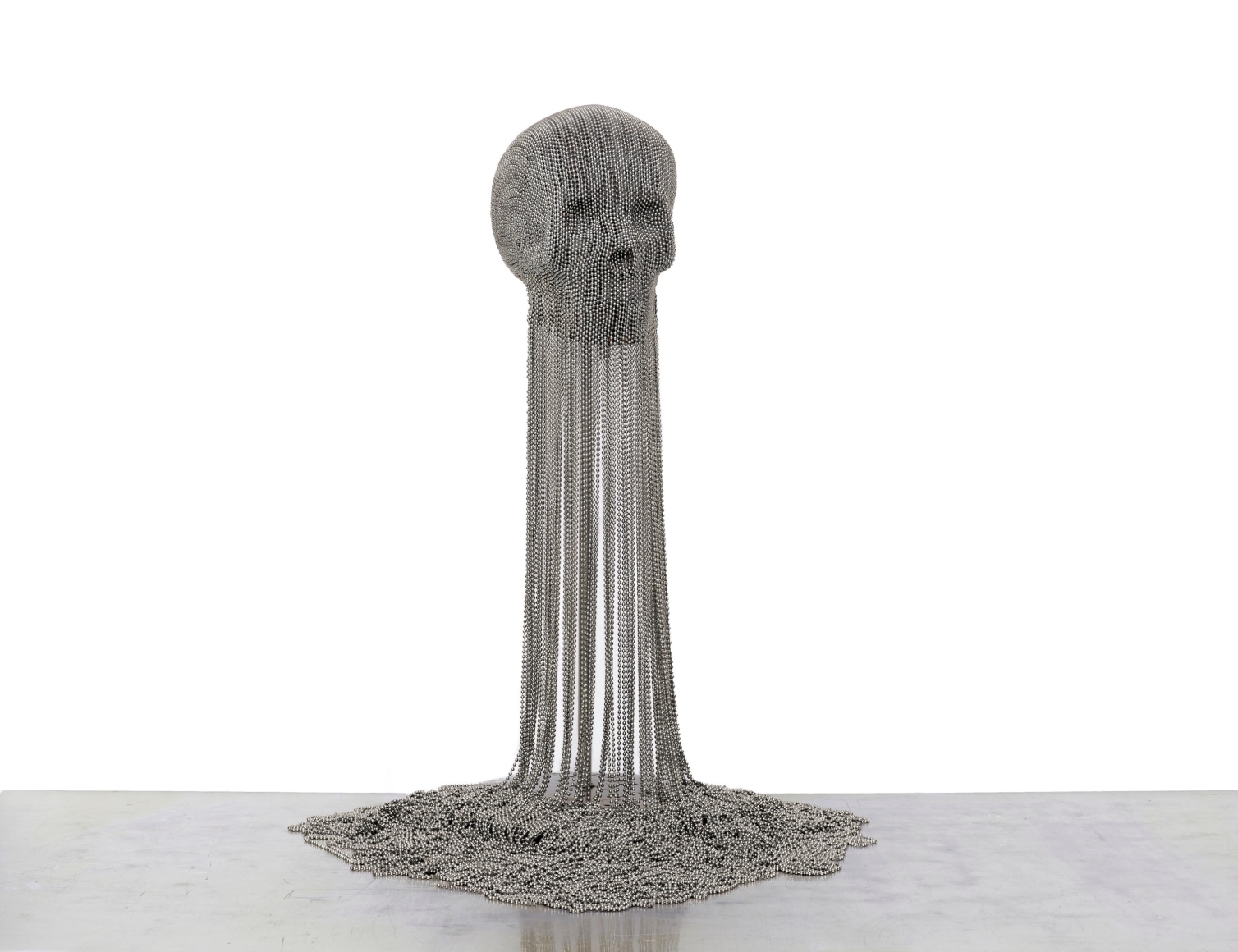 ESPERANZA CORT&Eacute;S, Flora &amp;amp; Fauna, 2018