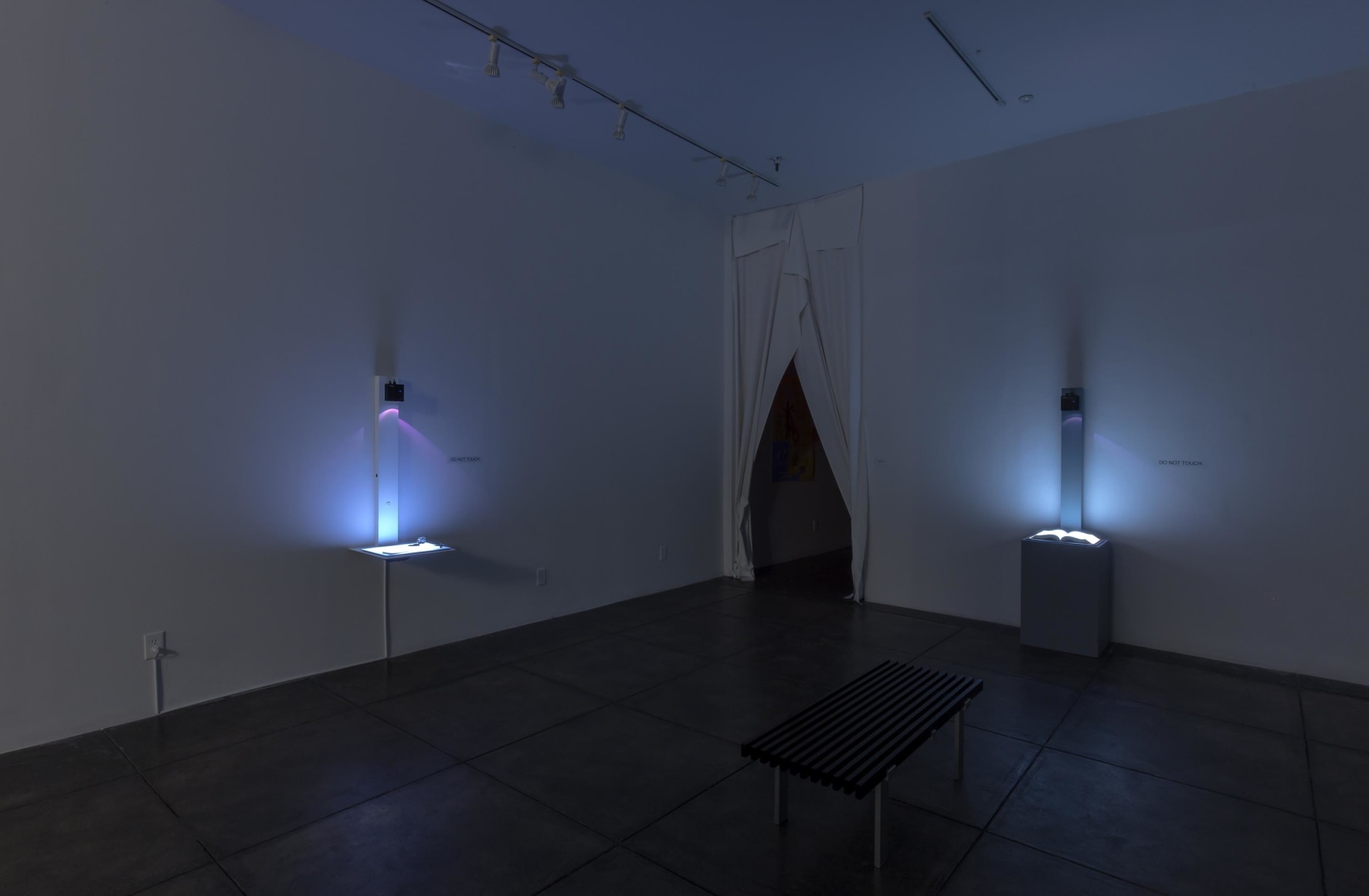 PETER SARKISIAN Recent Video Works