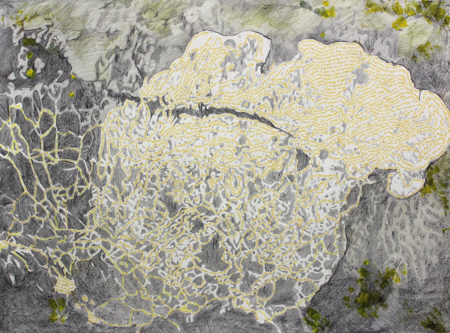 RICHELLE GRIBBLE Self-Organization, 2016