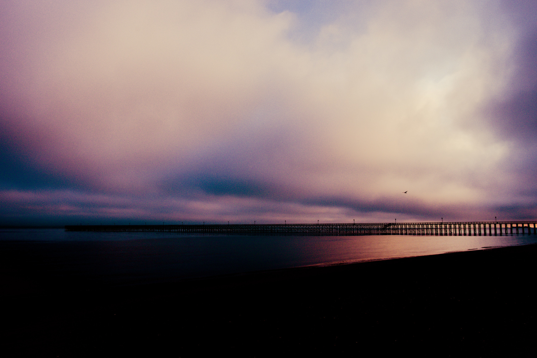 TRENITY THOMAS, Purple Morning, 2020