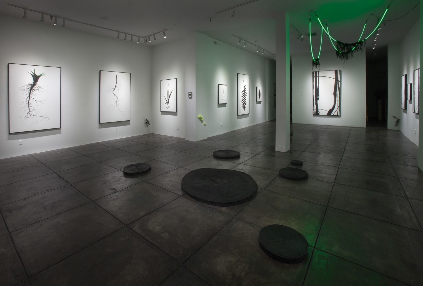 BRIAN BORRELLO III Dark Matter, [Main Gallery Installation View]