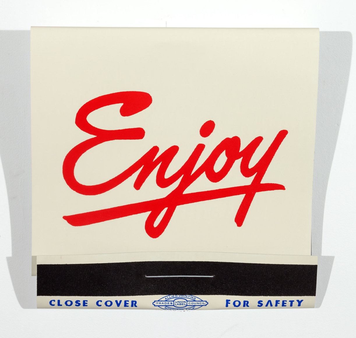 SKYLAR FEIN Enjoy, 2015