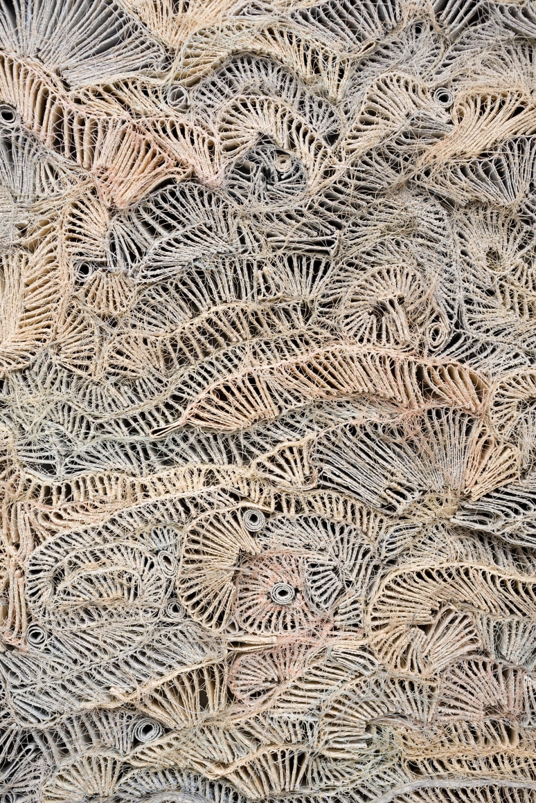 ANITA COOKE Totally Cellular (Circular Motion)&nbsp;[detail], 2015