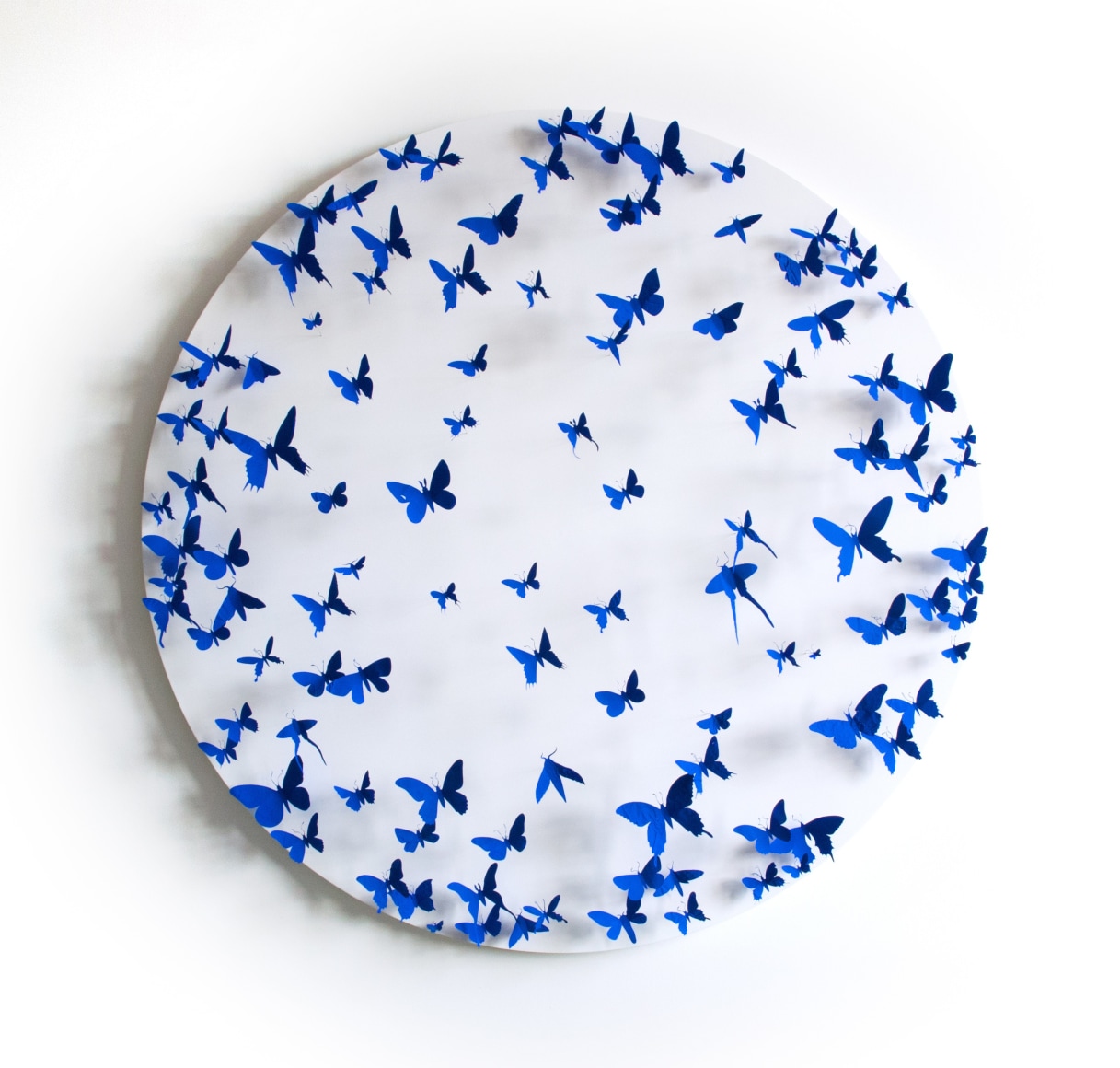 PAUL VILLINSKI Lense, 2015