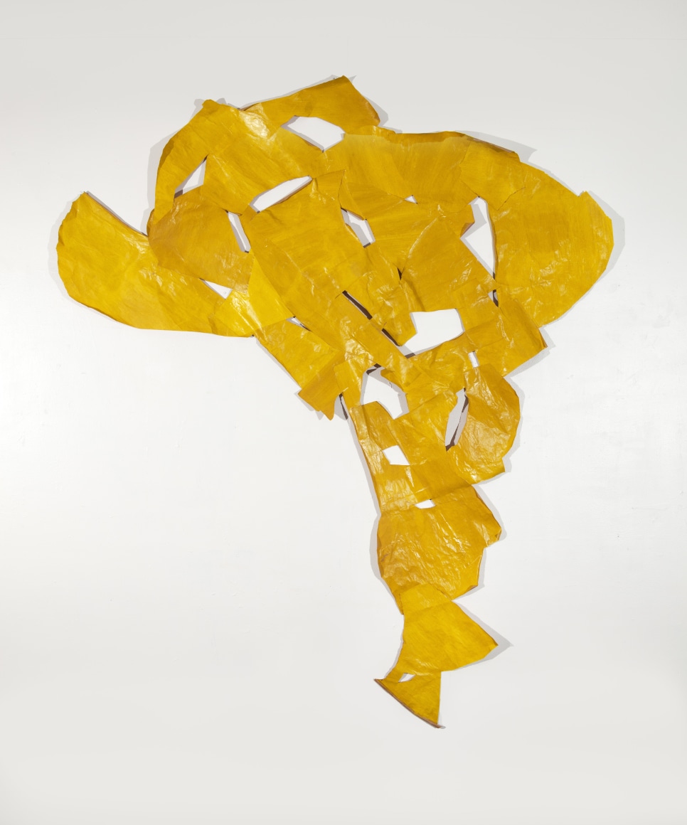 AIMÉE FARNET SIEGEL, Yellow Lace, 2019