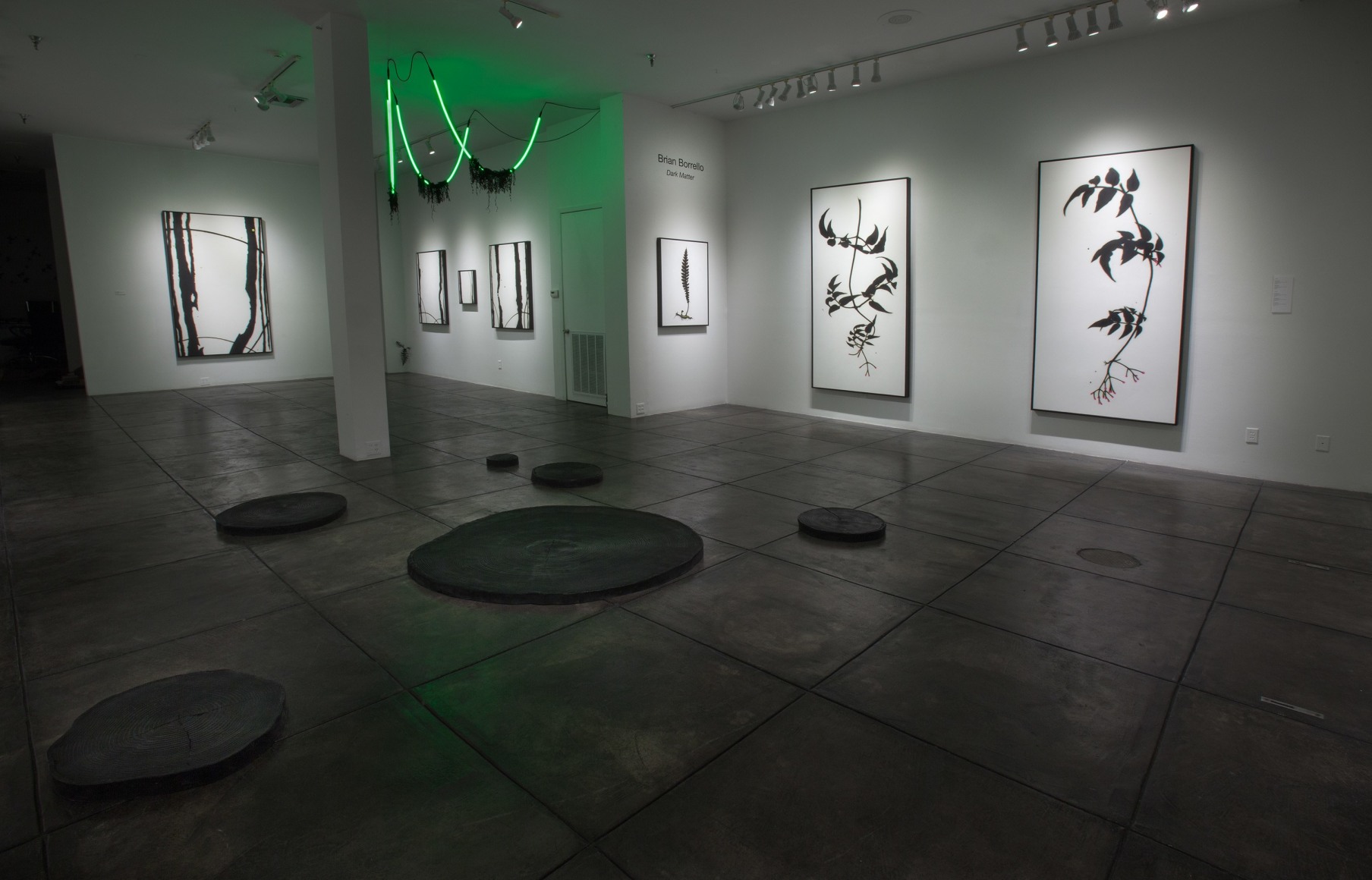 BRIAN BORRELLO III Dark Matter, [Main Gallery Installation View]