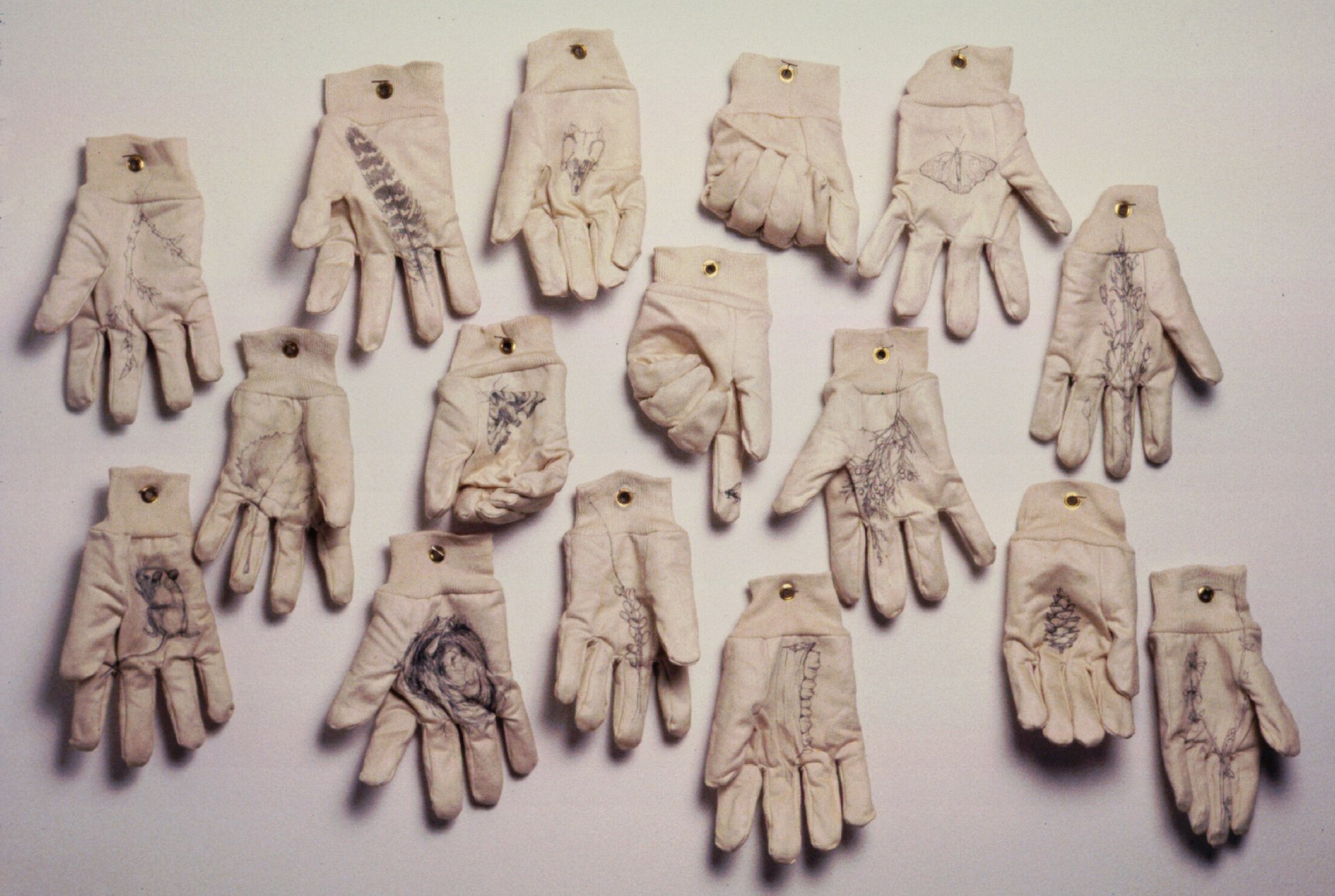 PAUL VILLINSKI, Nature Studies, 1992