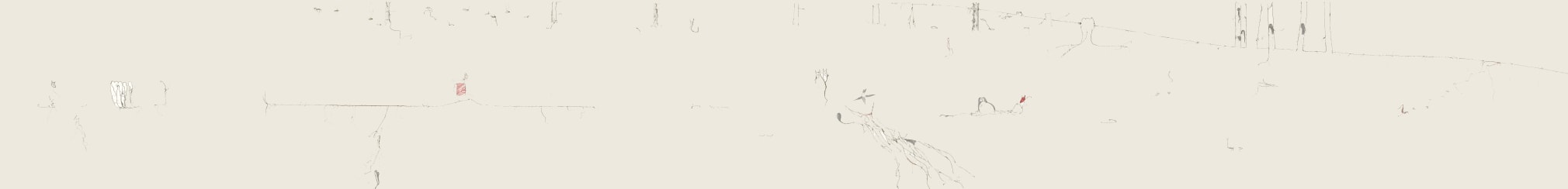 MONICA ZERINGUE, Matador&nbsp;[reverse view], 2007