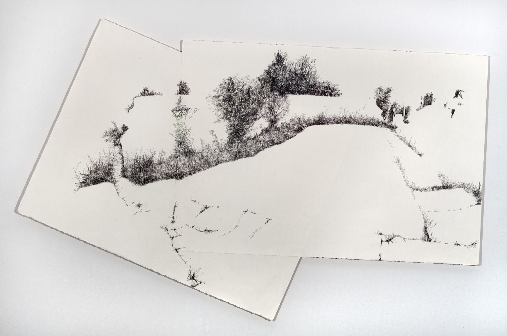 HANNAH CHALEW, Absent II, 2013