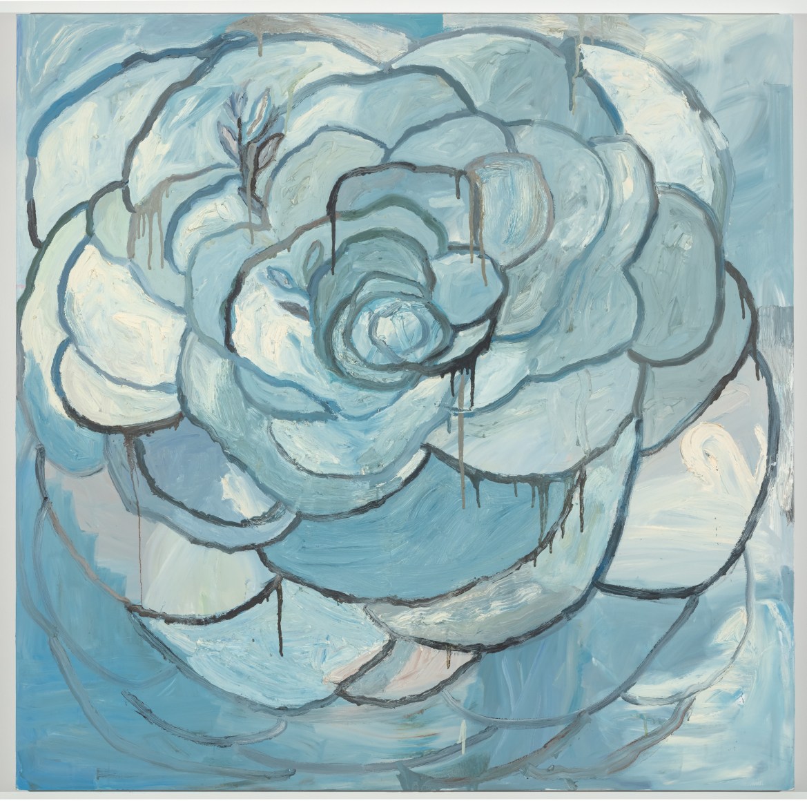 MARGARET EVANGELINE, Oliver's Camellia, 2020