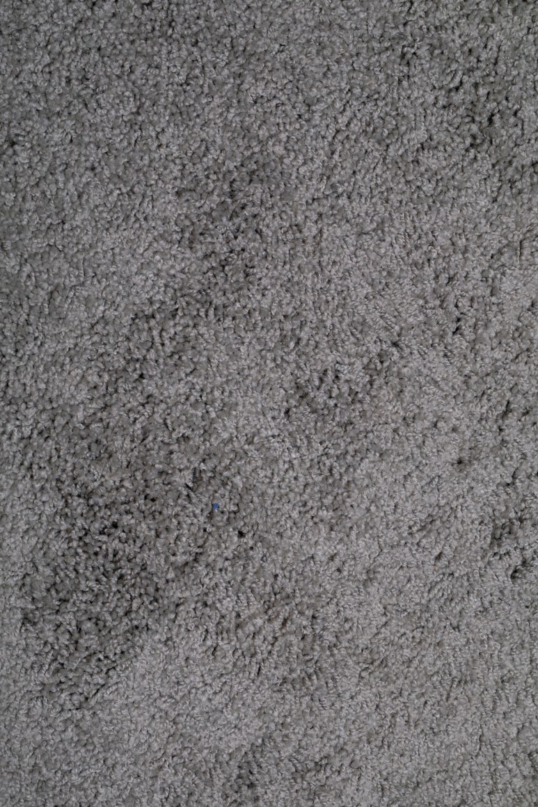 ARTEMIS ANTIPPAS, Sample (5), 2021