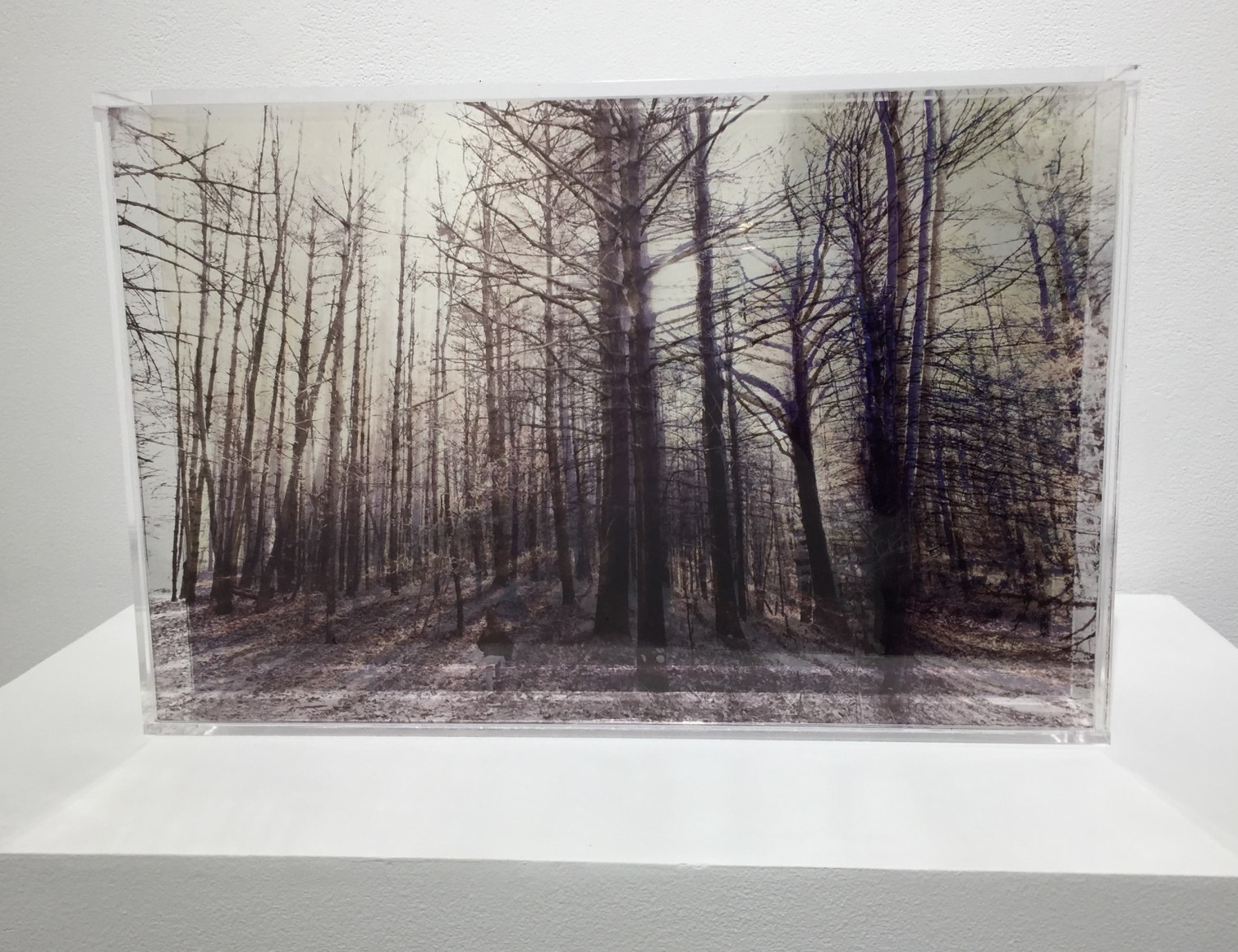 ROSEMARY SCOTT-FISHBURN I Wanted You to Find Me, 2015