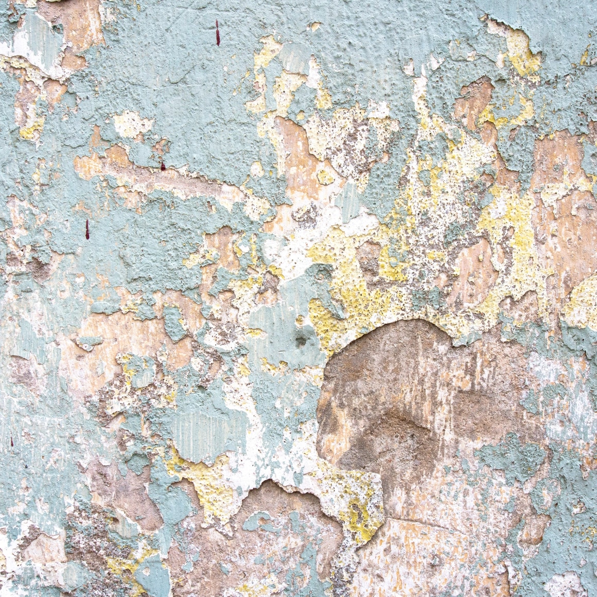 JENNIFER RICO, Havana Pantone, Azul Infanta, 2018