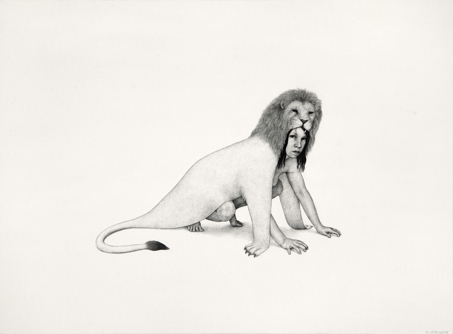 MONICA ZERINGUE, Cloak, 2012