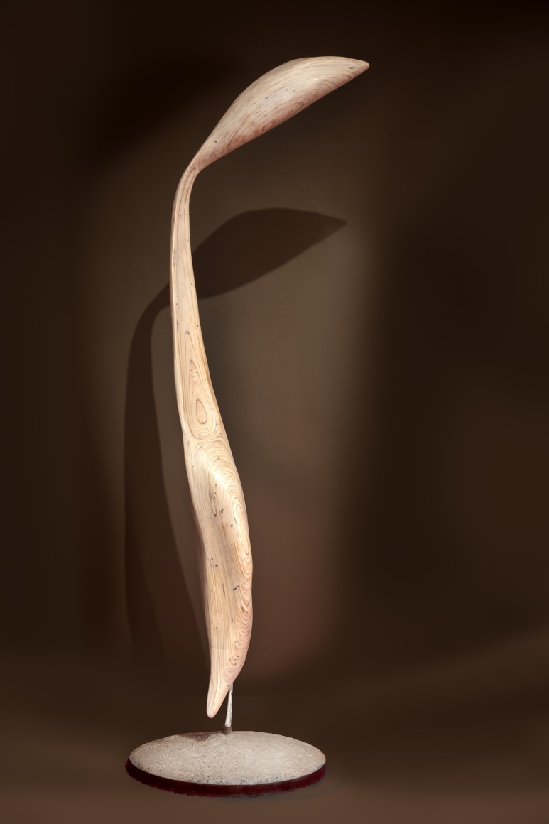 GINA PHILLIPS, Crane (Decoy), 2021