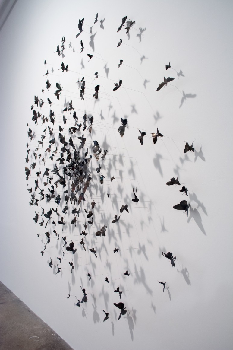 PAUL VILLINSKI, Gyre (blue butterflies), 2017