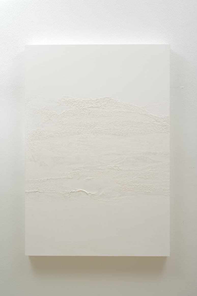 SIDONIE VILLERE Wash, 2014