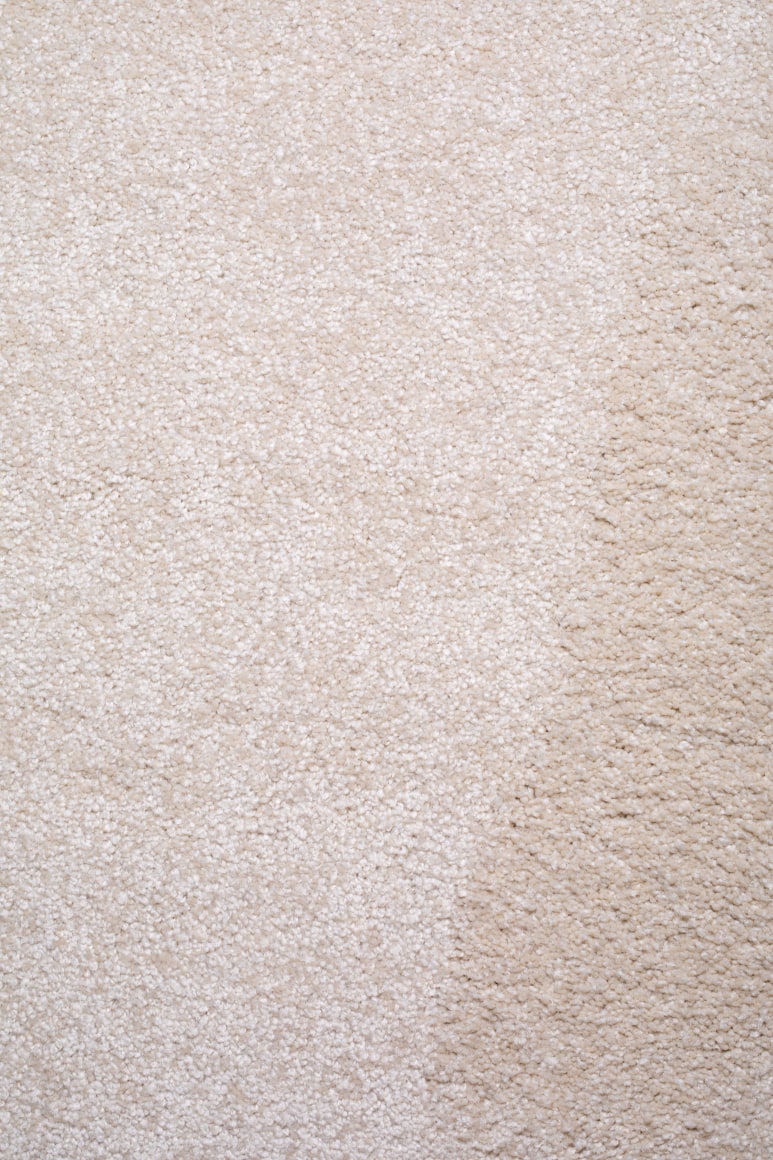 ARTEMIS ANTIPPAS, Sample (12), 2021