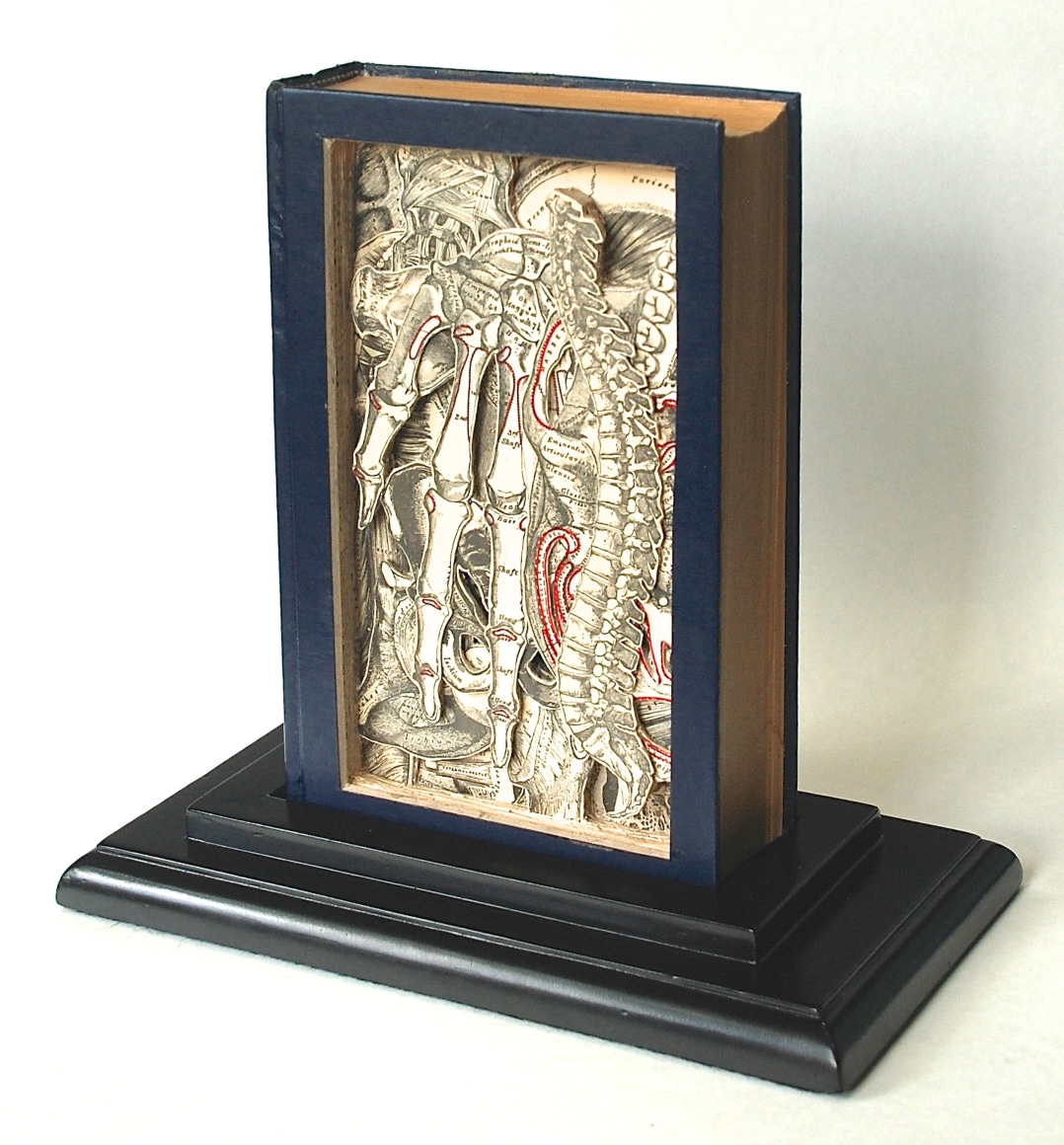 TONY DAGRADI Gray&#039;s Anatomy, 2016