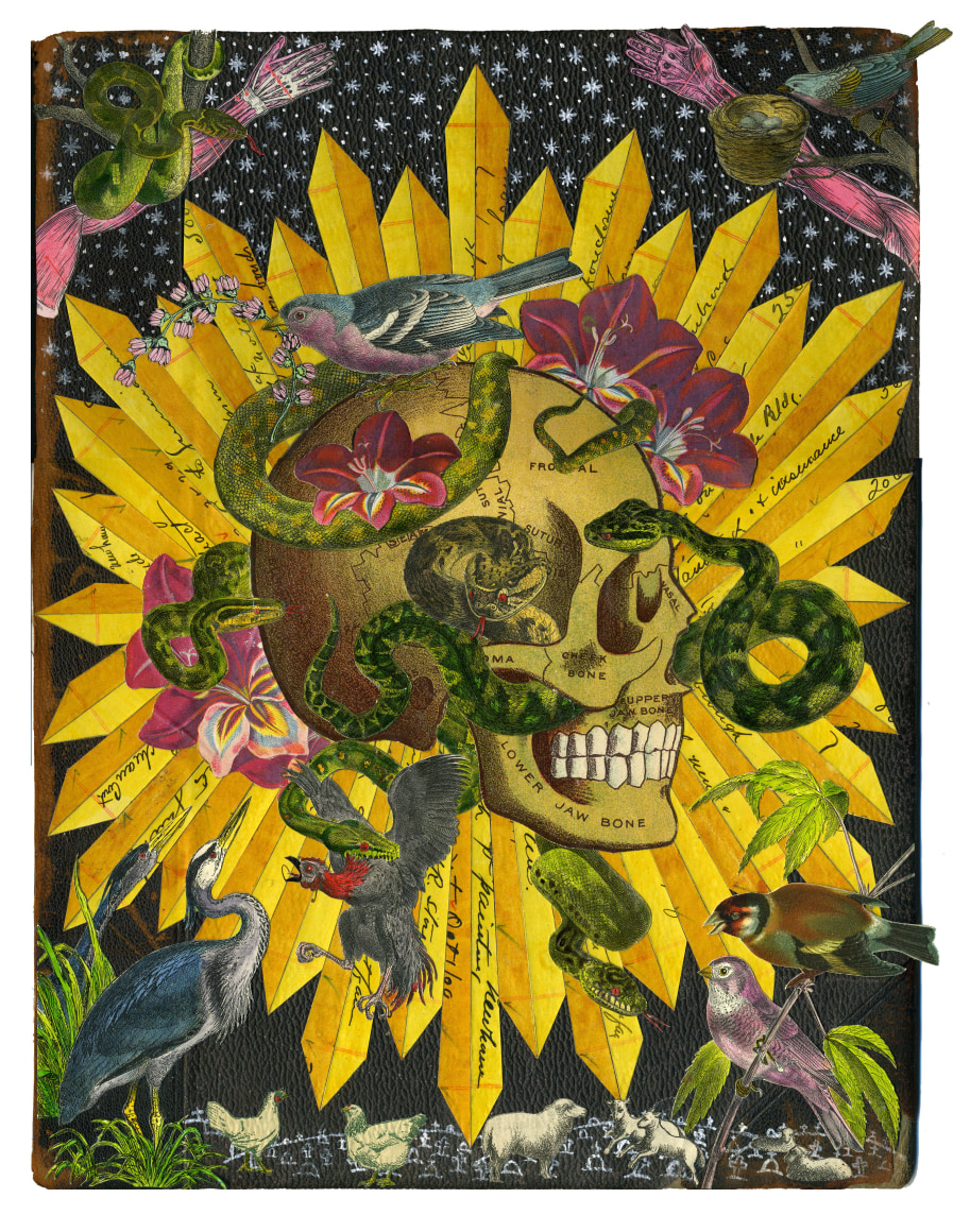 MICHAEL PAJON Of Saints and Serpents, 2014