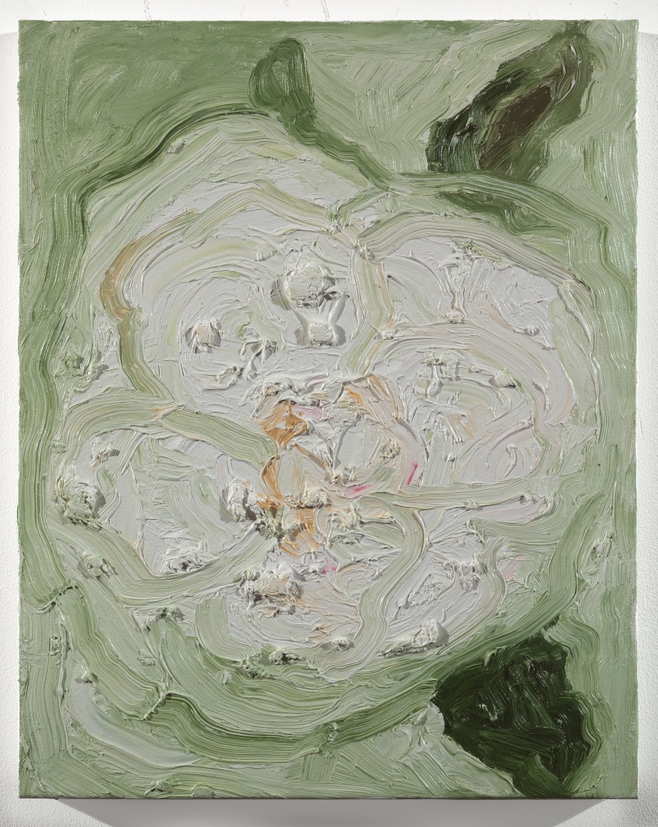 MARGARET EVANGELINE, Camellia Blanc, 2024