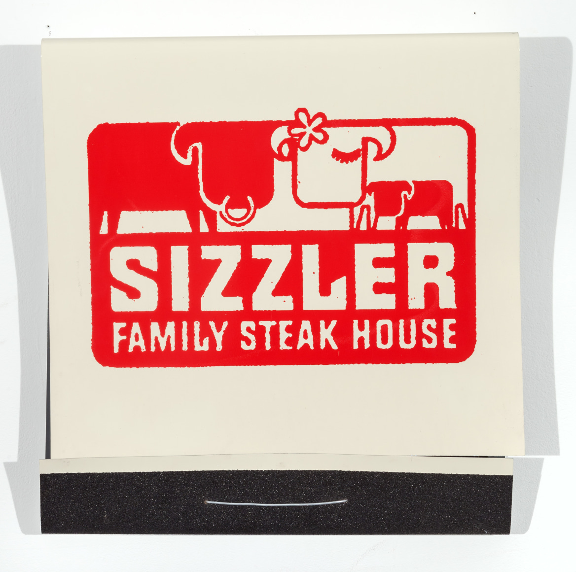 SKYLAR FEIN Why Not Sizzler, 2015