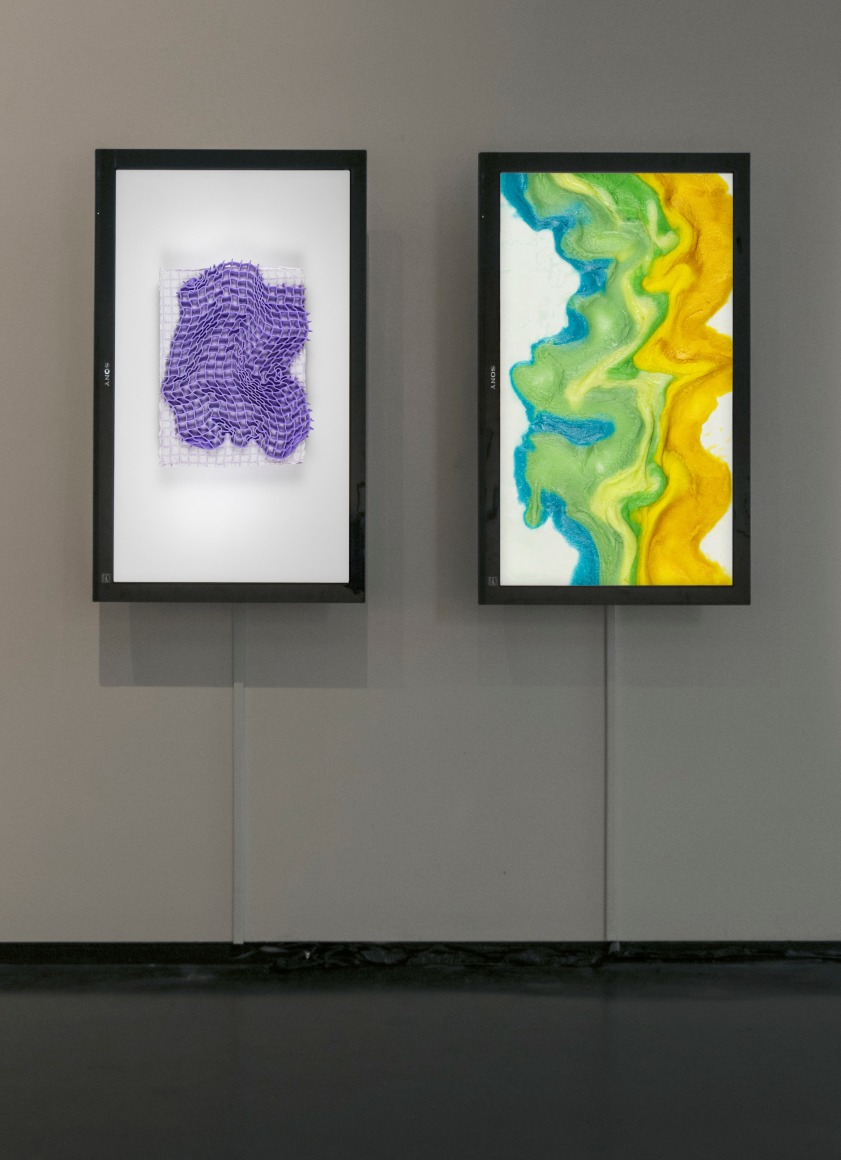 RYAN LEWIS, Everted Sanctuaries VII, 2019